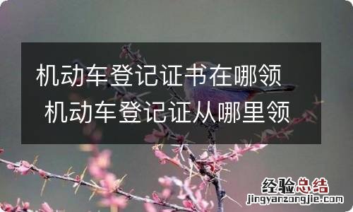 机动车登记证书在哪领 机动车登记证从哪里领