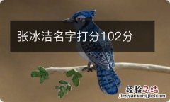 张冰洁名字打分102分