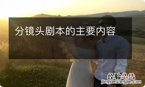 分镜头剧本的主要内容