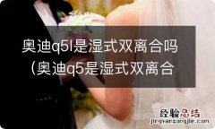 奥迪q5是湿式双离合还是干式双离合 奥迪q5l是湿式双离合吗