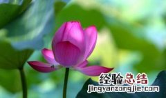 夏天提醒别人注意什么 夏天应注意防范事项