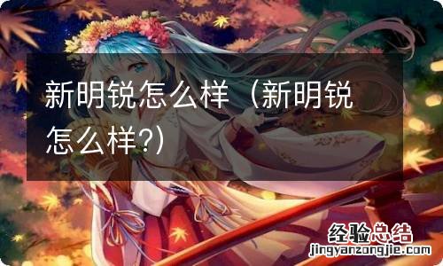 新明锐怎么样? 新明锐怎么样