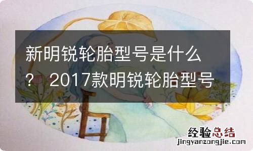 新明锐轮胎型号是什么？ 2017款明锐轮胎型号