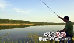 钓鱼引钓的方法 海竿钓鱼线组使用什么子线好