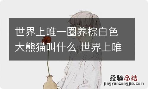 世界上唯一圈养棕白色大熊猫叫什么 世界上唯一圈养棕白色大熊猫叫什么名字