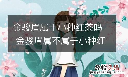 金骏眉属于小种红茶吗 金骏眉属不属于小种红茶