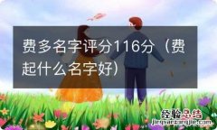 费起什么名字好 费多名字评分116分