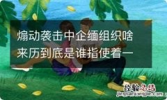 煽动袭击中企缅组织啥来历到底是谁指使着一切&lt;/title&gt;&lt;meta