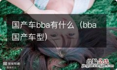 bba国产车型 国产车bba有什么