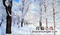 梦到下雪是什么意思 梦到下雪的寓意