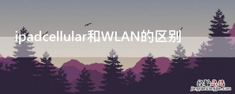 ipadcellular和WLAN的区别