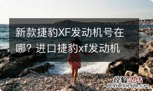 新款捷豹XF发动机号在哪? 进口捷豹xf发动机号位置图