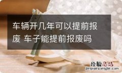 车辆开几年可以提前报废 车子能提前报废吗