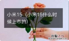 小米15什么时候上市的 小米15