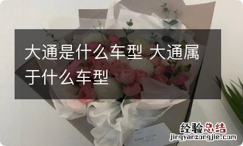 大通是什么车型 大通属于什么车型