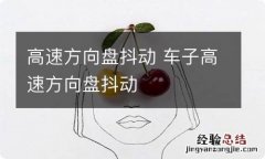 高速方向盘抖动 车子高速方向盘抖动