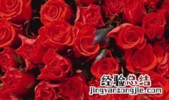 三朵玫瑰花是什么意思 花语我爱你