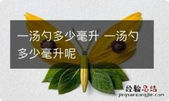 一汤勺多少毫升 一汤勺多少毫升呢