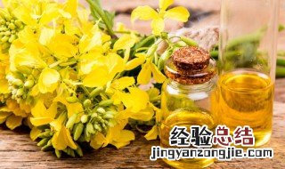 菜籽油等级 哪一级好 菜籽油几级是好的