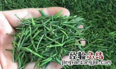 茶毛尖什么时候喝最好 毛尖茶一天喝多少适合