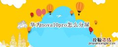 华为nova9pro怎么分屏 华为nova10pro怎么分屏