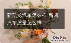 新凯龙汽车怎么样 新凯汽车质量怎么样