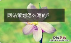 网站策划怎么写的？