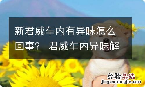 新君威车内有异味怎么回事？ 君威车内异味解决