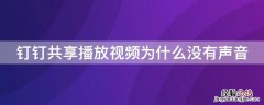 钉钉共享播放视频为什么没有声音