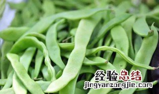 什么是芸豆 芸豆简介