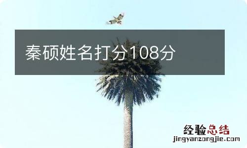 秦硕姓名打分108分