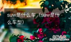 suw是什么车型 suw是什么车