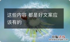 这些内容 都是好文案应该有的