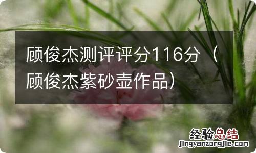 顾俊杰紫砂壶作品 顾俊杰测评评分116分