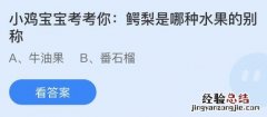 蚂蚁庄园12月14日答案最新：鳄梨是哪种水果的别称？哪种调料被称为“黑色黄金”？