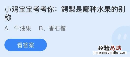 蚂蚁庄园12月14日答案最新:鳄梨是哪种水果的别称?哪种调料被称为“黑色黄金”?