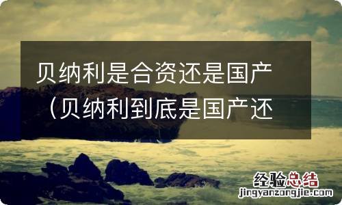 贝纳利到底是国产还是合资? 贝纳利是合资还是国产