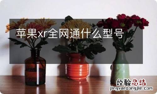 苹果xr全网通什么型号