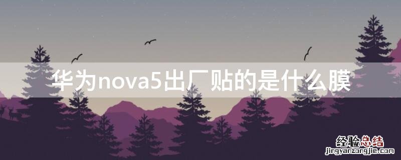 华为nova5出厂贴的是什么膜