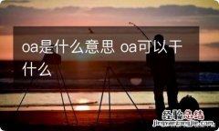 oa是什么意思 oa可以干什么