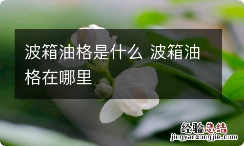 波箱油格是什么 波箱油格在哪里