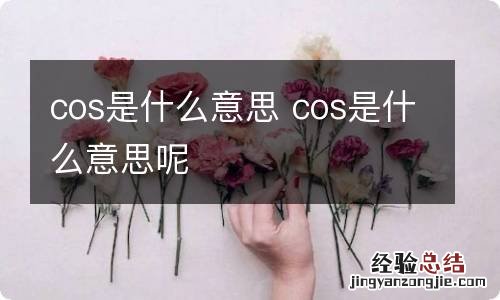 cos是什么意思 cos是什么意思呢