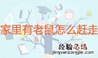 家里有老鼠怎么赶走 老鼠最怕这些东西的气味