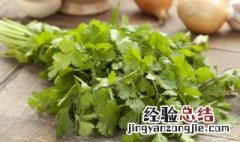 4种方法来储存香菜苗 4种方法来储存香菜