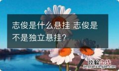 志俊是什么悬挂 志俊是不是独立悬挂?