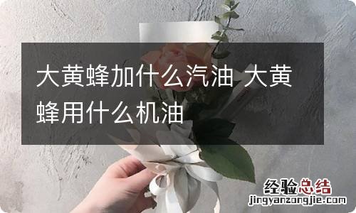 大黄蜂加什么汽油 大黄蜂用什么机油