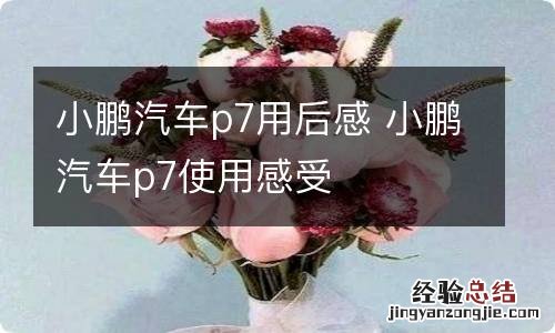 小鹏汽车p7用后感 小鹏汽车p7使用感受