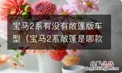 宝马2系敞篷是哪款 宝马2系有没有敞篷版车型