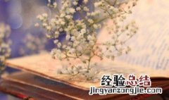 小清新句子简短友情 关于友情的简短文艺小清新句子