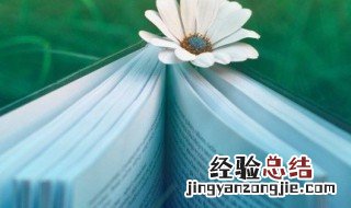 天气好心情好的朋友圈 阳光灿烂心情好的唯美说说句子